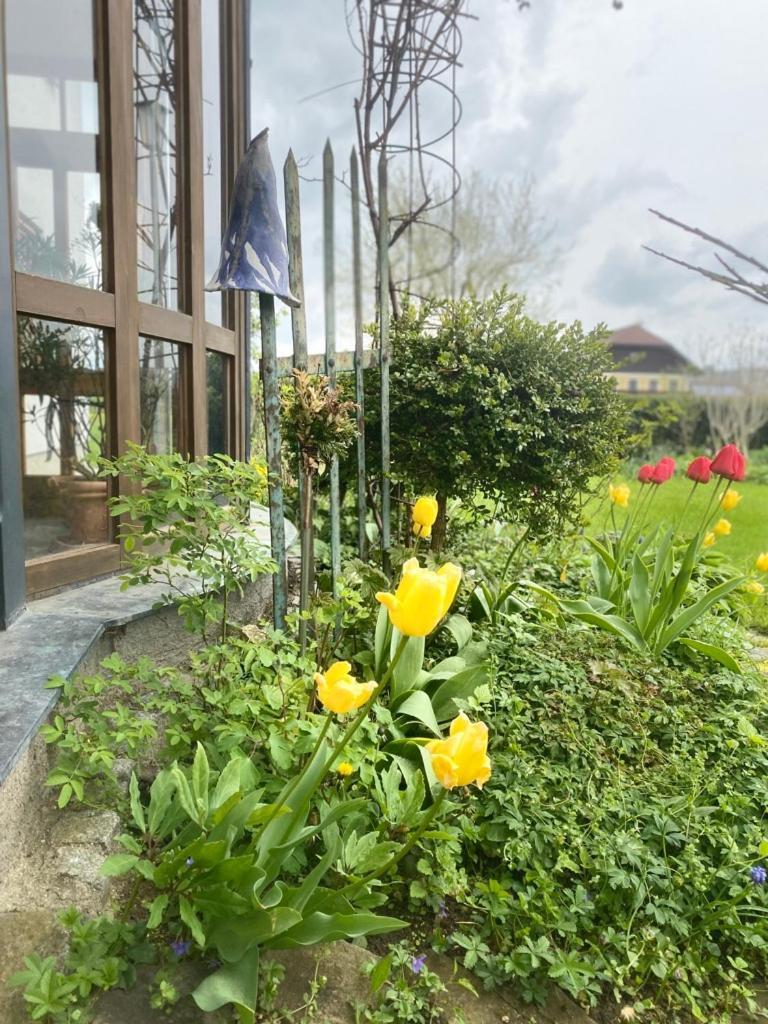 Traumhaft Grosse Ferienwohnung Naehe Attersee Sankt Georgen im Attergau Exteriör bild