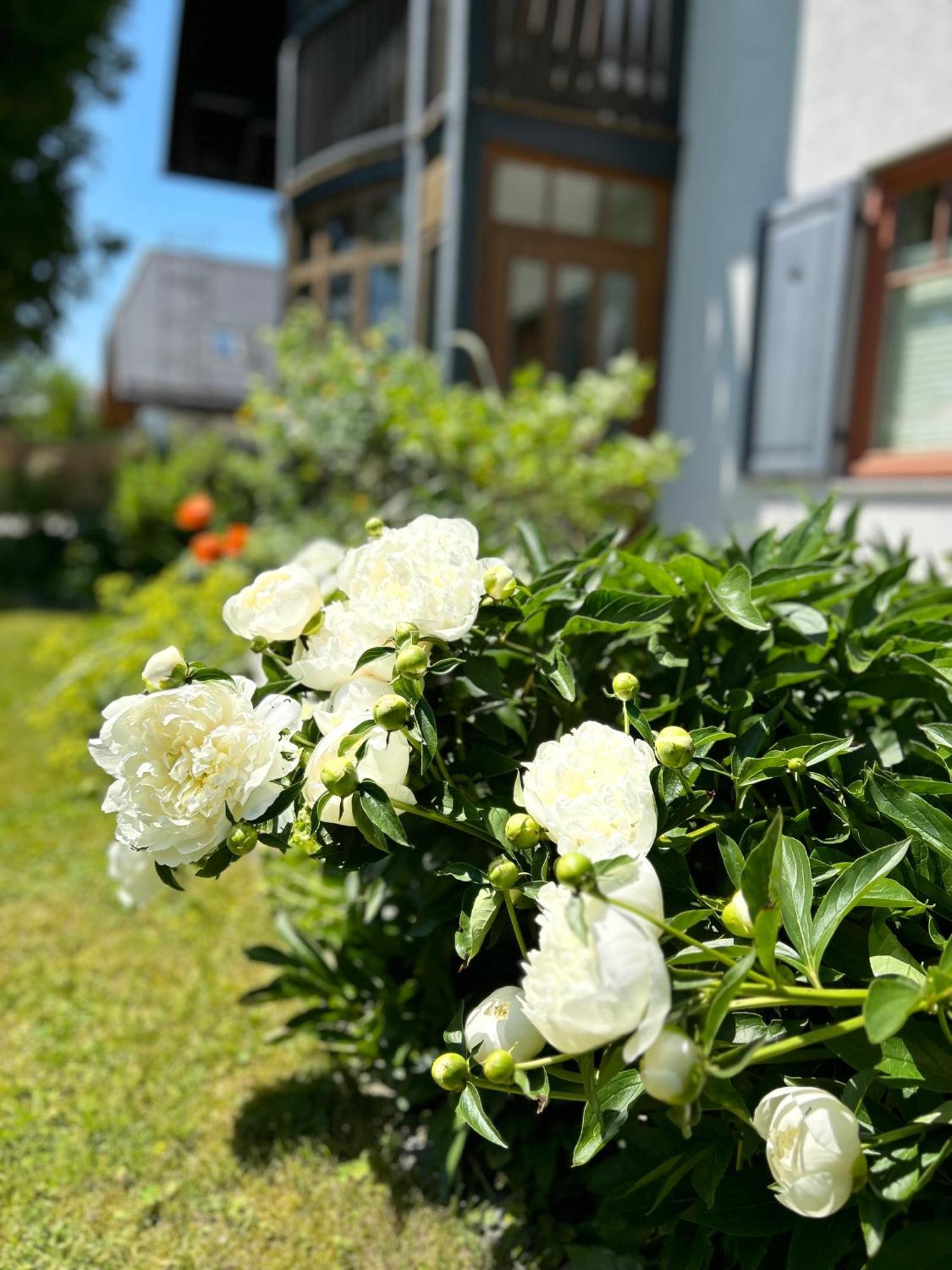 Traumhaft Grosse Ferienwohnung Naehe Attersee Sankt Georgen im Attergau Exteriör bild