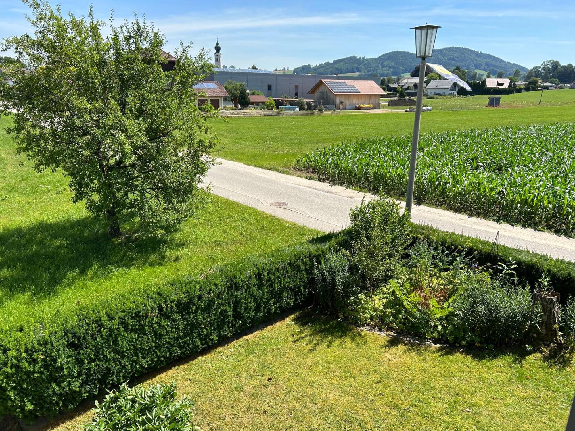 Traumhaft Grosse Ferienwohnung Naehe Attersee Sankt Georgen im Attergau Exteriör bild